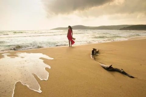 Wild beach Stock Photos