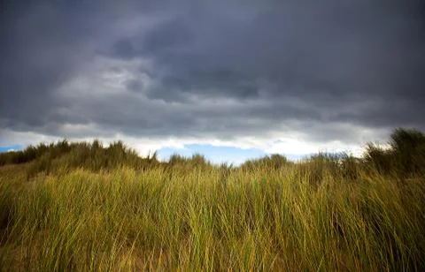 Wild beach Stock Photos
