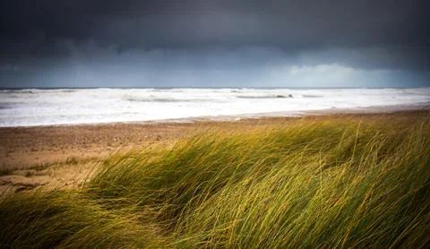 Wild beach Stock Photos