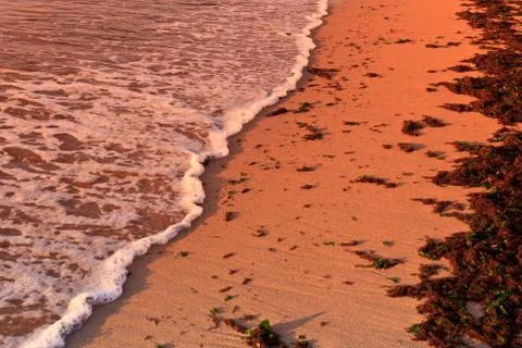 Wild beach Stock Photos