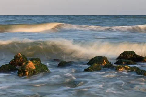 Wild beach Stock Photos