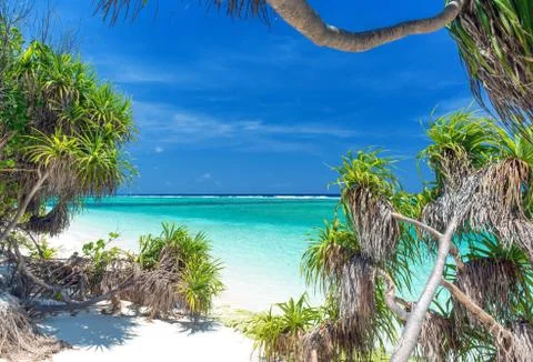 Wild beach Stock Photos