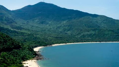 Wild beach. Stock Photos
