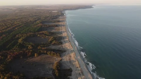Wild beach with sand and forest in Bulgaria, aerial view Stock Footage 219635893