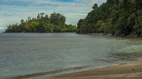 Wild beach scene with buffallos walking in the ocean next to lush jungle forest Foto stock