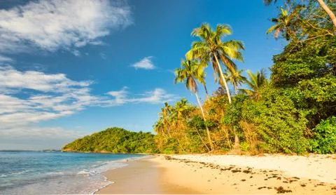 Wild beach at sunset Stock Photos