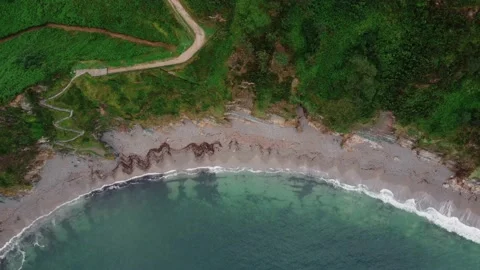 Wild beach with the turquoise water. Stock Footage 234409909