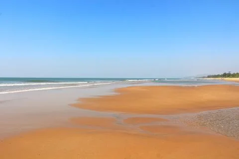Wild beach, where there are no people, birds and animals Stock Photos