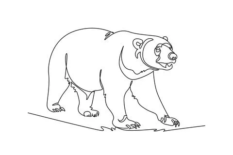 Wild bear animal walking forward in nature. Powerful predator wildlife Stock Illustration
