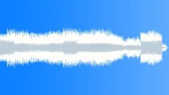 Wild Bear Stock Music
