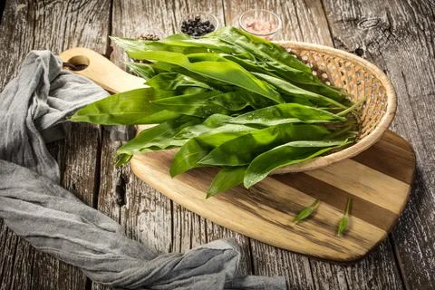 Wild bear's garlic. Stock Photos