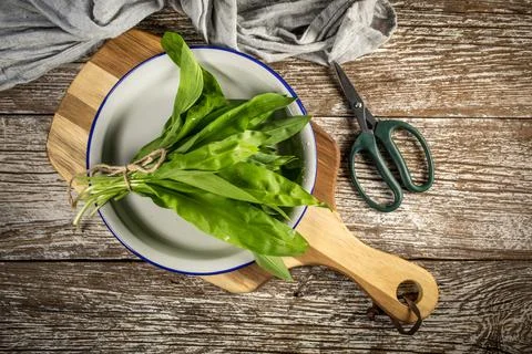 Wild bear's garlic. Stock Photos
