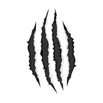Wild beast scratches vector. Claws scratches carnivore animal Stock Illustration