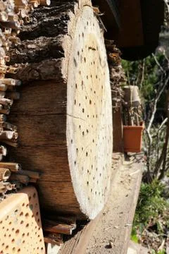 Wild bee flying in front of insect shelter. Stock Photos
