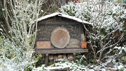 Wild bee insect hotel in winter time. snowing in garden Video stock 119272713