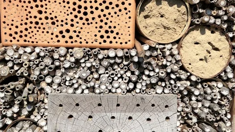 Wild bees flying in front of insect hotel for solitary wild bee protection Vídeo Stock 108311189