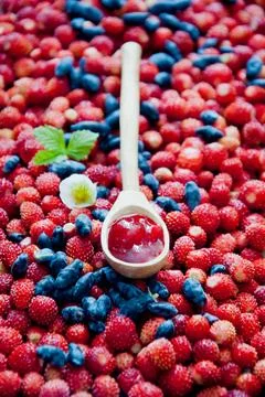 Wild berries Jam in a spoon Stock Photos