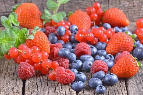 Wild berries Stock Photos