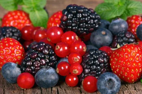 Wild berries Stock Photos