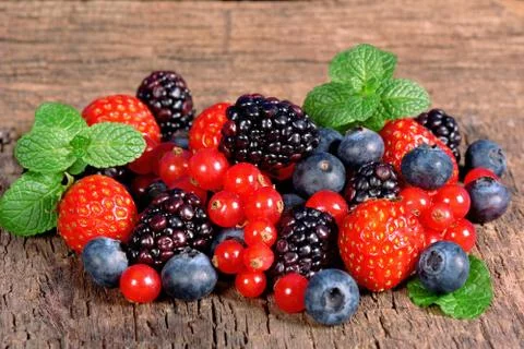 Wild berries Stock Photos