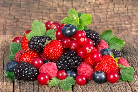 Wild berries Stock Photos