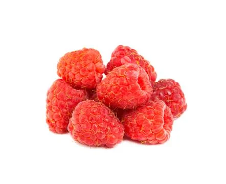 Wild berries Stock-Fotos