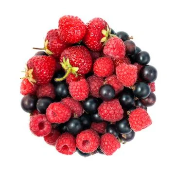 Wild berries Stock Photos