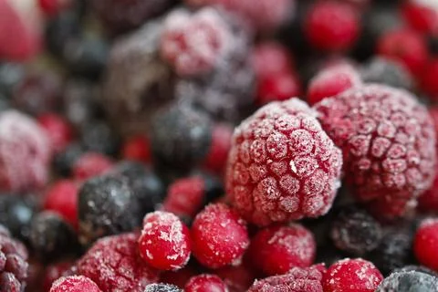 Wild berries Stock Photos