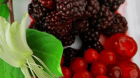 Wild berrys and cherry Vídeos de archivo 25168341