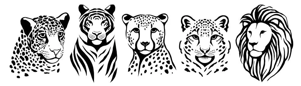Wild Big Cats Vector Set  Leopard, Tiger, Cheetah, Snow Leopard, Lion  Stock Illustration