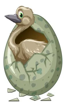 Wild bird hatching egg Stock Illustration