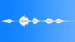 Wild Bird Sound Effect