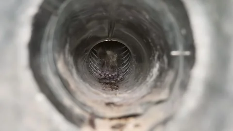 A wild bird stuck in a round air duct tube, animal rescue concept Stock Footage 339303425