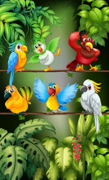 Wild birds standing on the branch Illustrazione stock