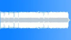 Wild Blues Stock Music