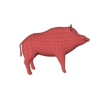 Wild boar base mesh 3D Model