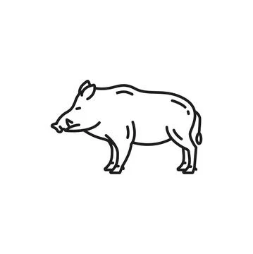 Wild boar German hog isolated thin line wild pig Stock Illustration
