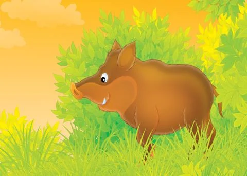 Wild boar Stock Illustration