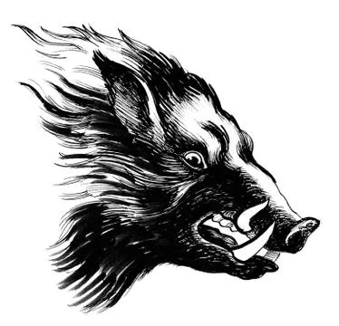 Wild boar Stock Illustration