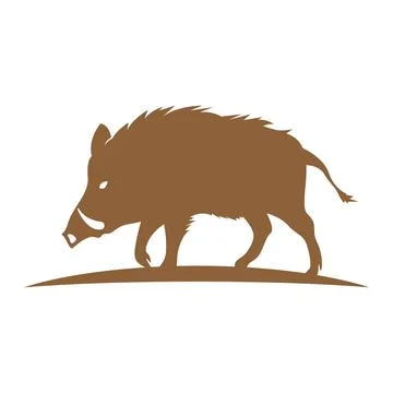 Wild Boar logo icon design Stock Illustration
