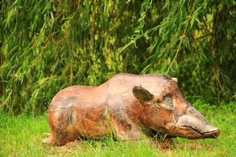 Wild boar 스톡 사진