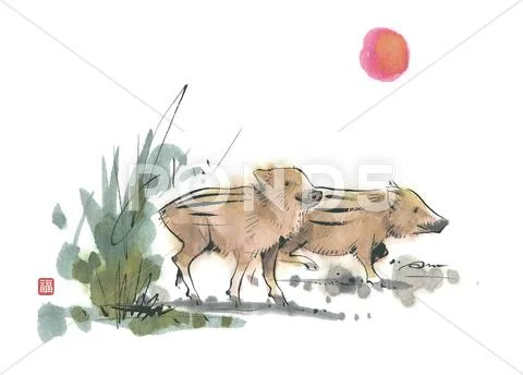 Wild boar piglets Stock Illustration