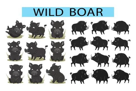 Wild Boar vector art illustration in white background 库存插图