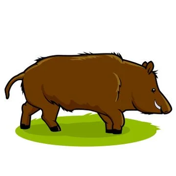 Wild boar. Vector Illustration Illustrazione stock