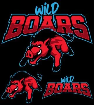 Wild Boars Team Mascot Stockillustratie
