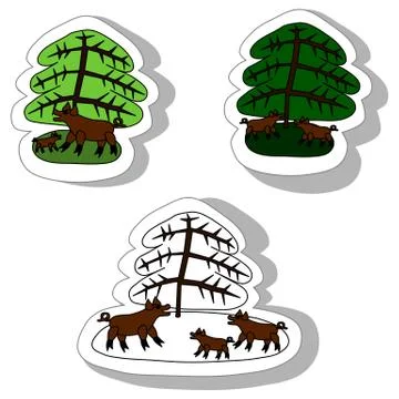 Wild boars under spruce Stock Illustration