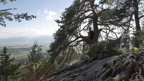 Wild boy sitting on the tree in the cliff Stock Footage