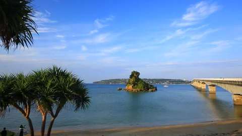 Wild Bridge Video stock 161846865