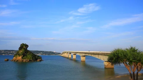 Wild Bridge 스톡 동영상 161846879