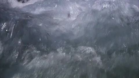 Wild bubbling stream water 스톡 동영상 319003735